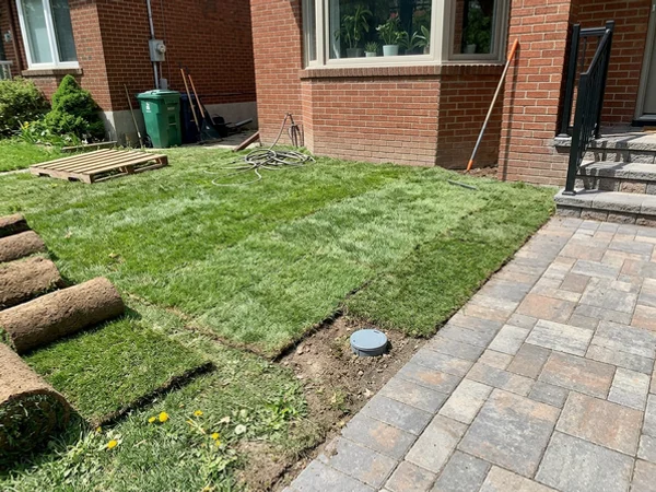 Restored lawn with the access cap at grade